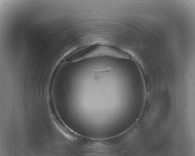 X0000083040390200702091414