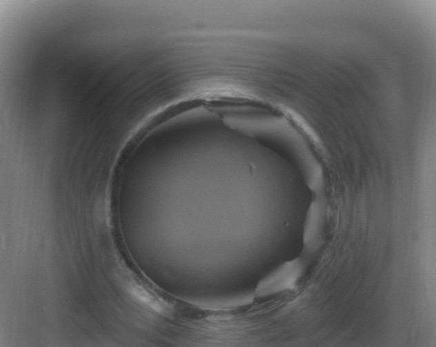 X0000083040391200702091414