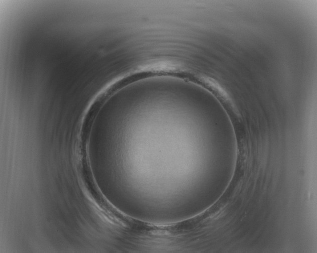 X0000083040392200702091414