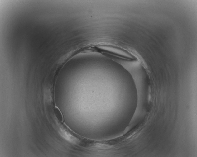 X0000083040393200702091414