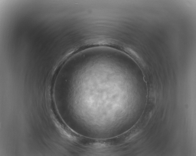 X0000083040394200702091414