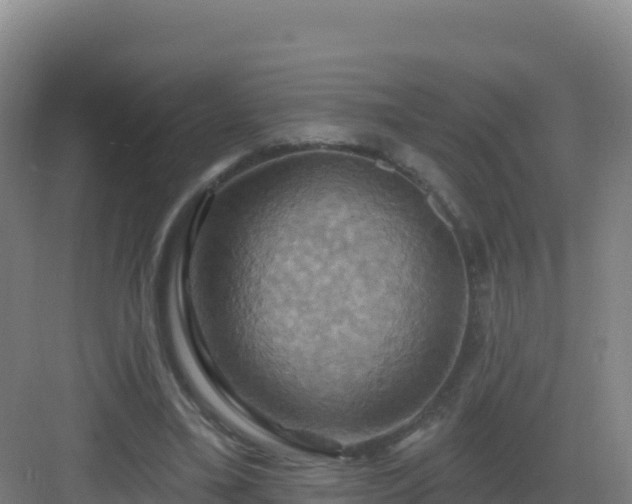 X0000083040395200702091414