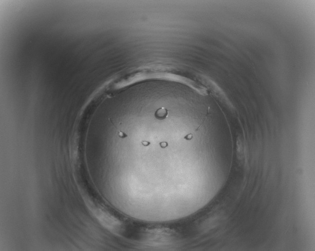 X0000083040396200702091414