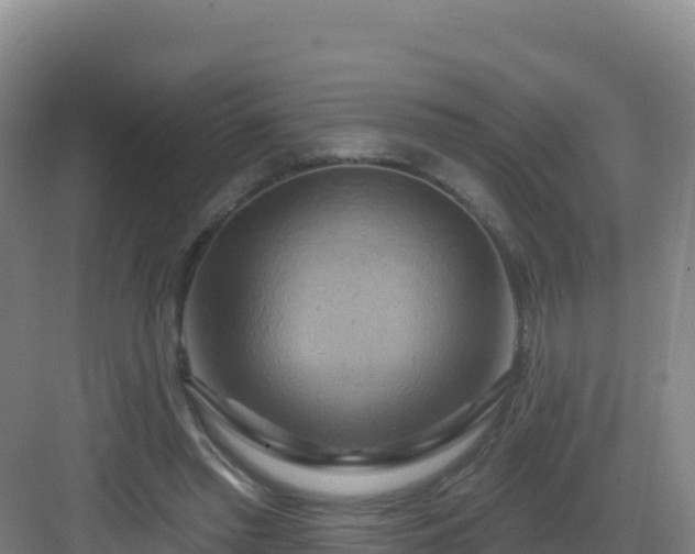 X0000083040397200702091414