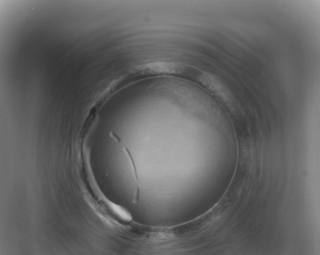 X0000083040398200702091414