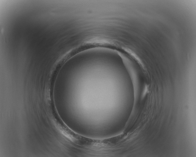 X0000083040399200702091414