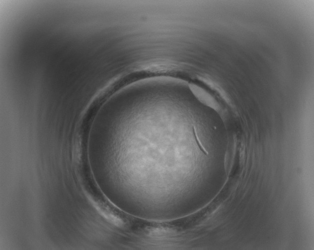 X0000083040400200702091414