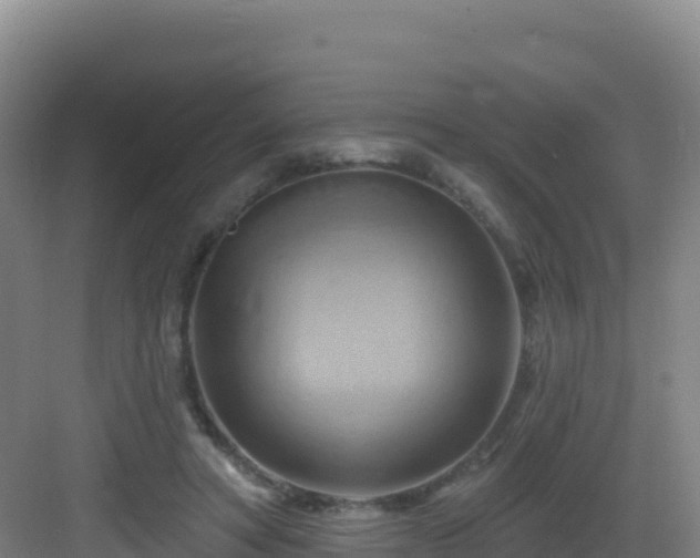 X0000083040402200702091414