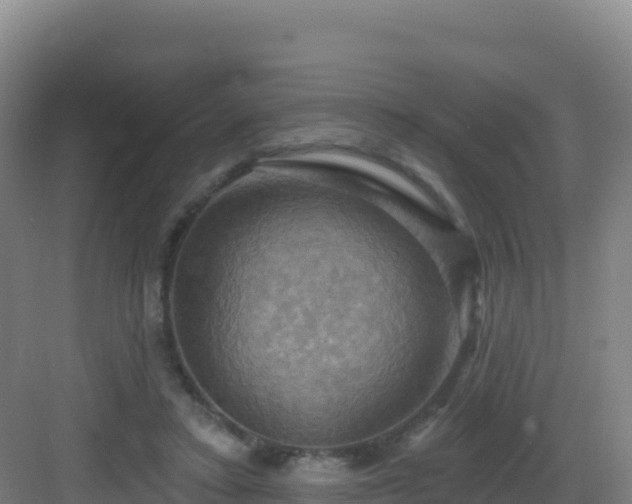 X0000083040403200702091414