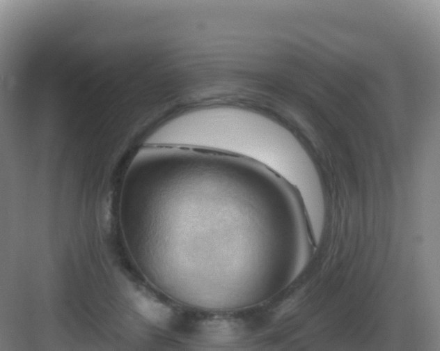 X0000083040404200702091414