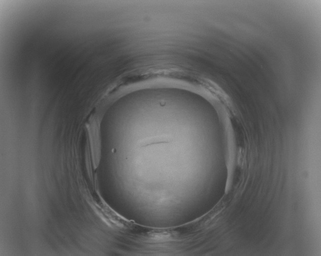 X0000083040405200702091414