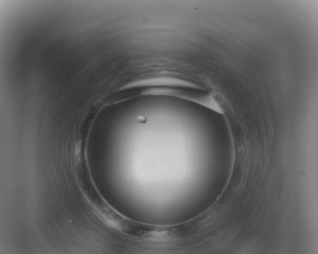 X0000083040406200702091414