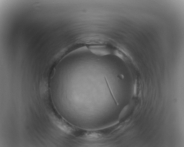 X0000083040407200702091414