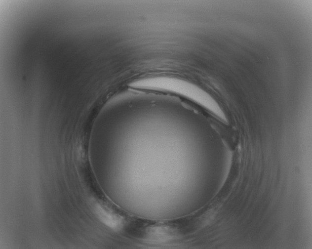 X0000083040408200702091414