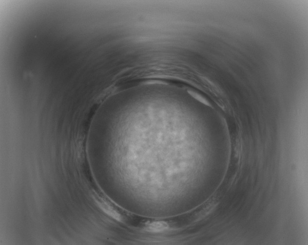 X0000083040409200702091414