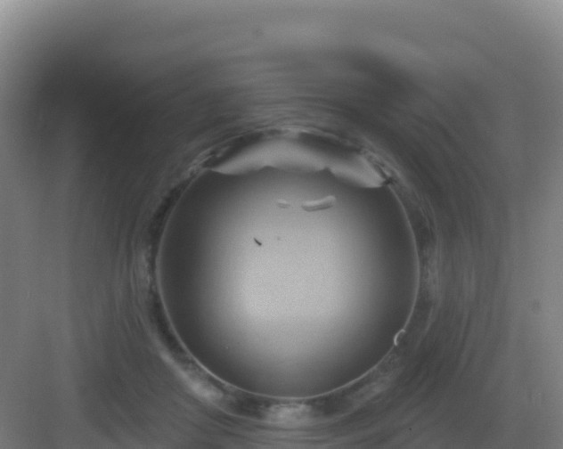 X0000083040410200702091414