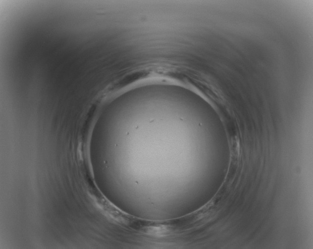 X0000083040411200702091414