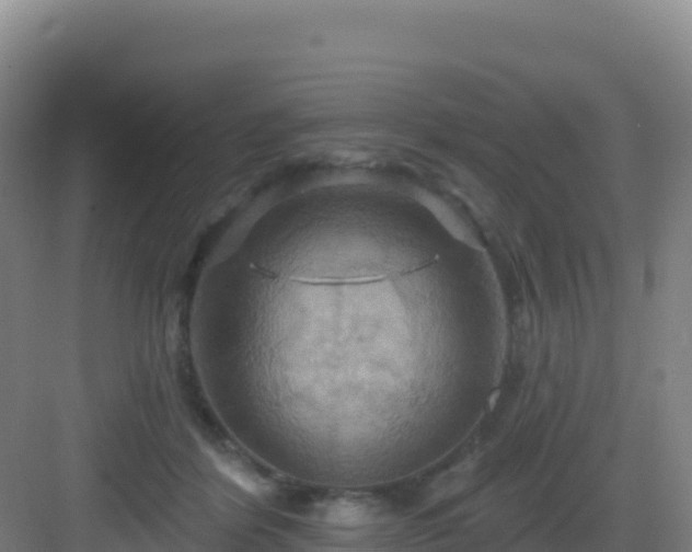 X0000083040412200702091414