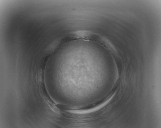 X0000083040413200702091414