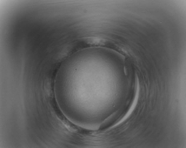 X0000083040416200702091414