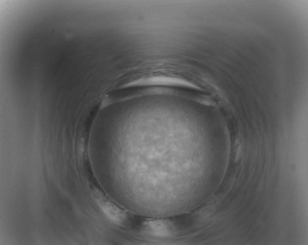 X0000083040417200702091414