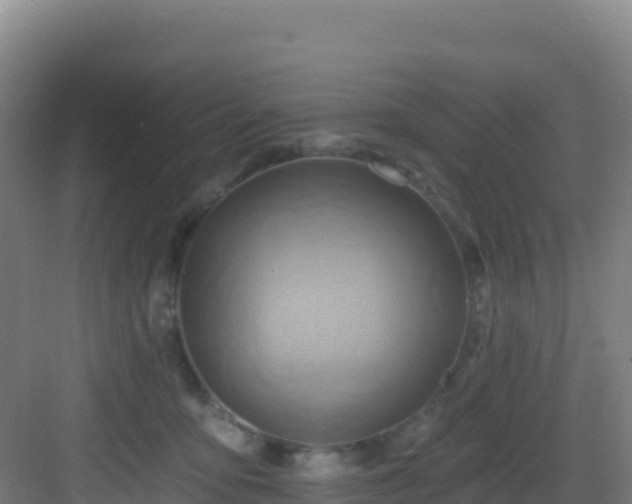 X0000083040419200702091414