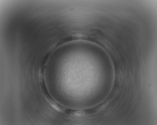 X0000083040420200702091414