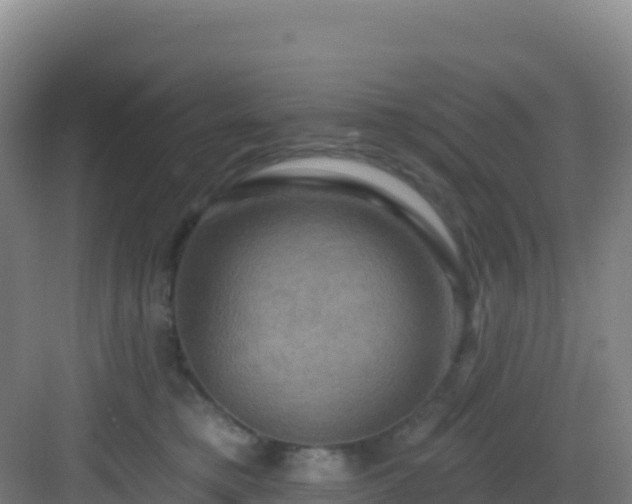 X0000083040421200702091414