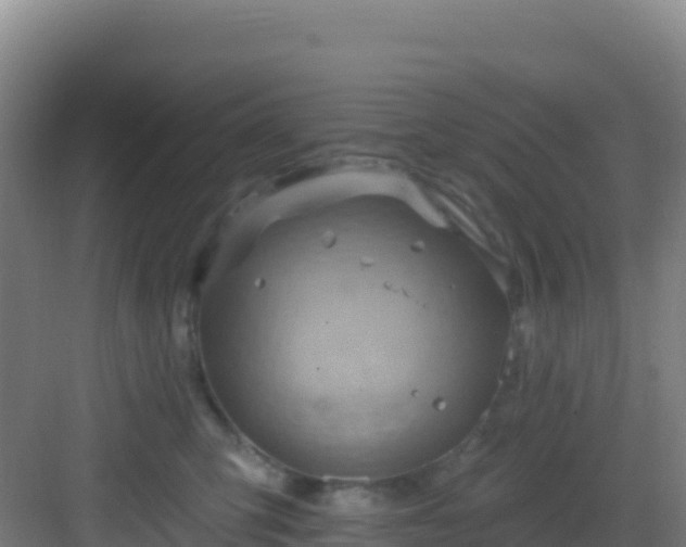 X0000083040423200702091414