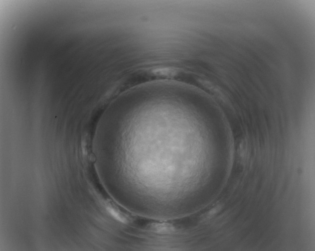 X0000083040424200702091414