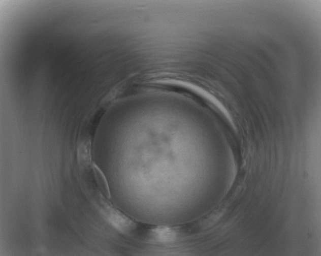 X0000083040425200702091414