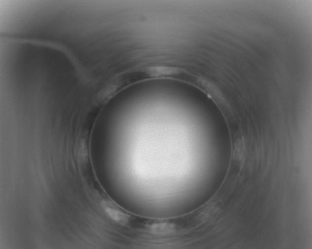 X0000083040426200702091414