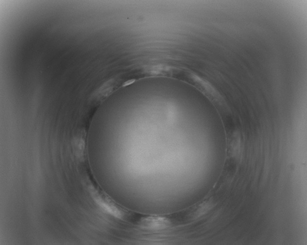 X0000083040427200702091414