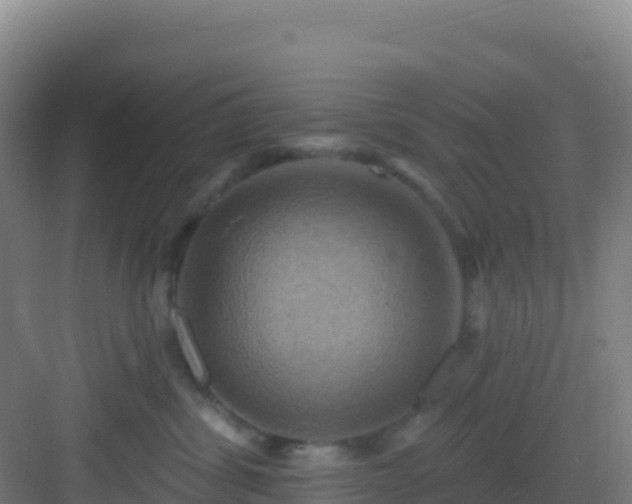 X0000083040428200702091414