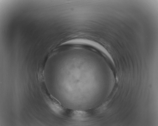 X0000083040429200702091414