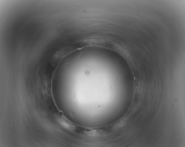 X0000083040430200702091414