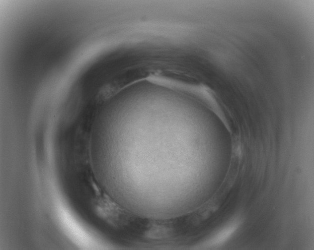 X0000083040431200702091414