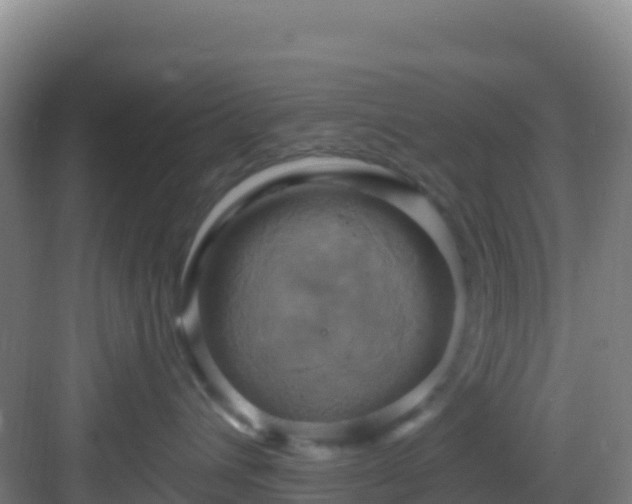 X0000083040432200702091414