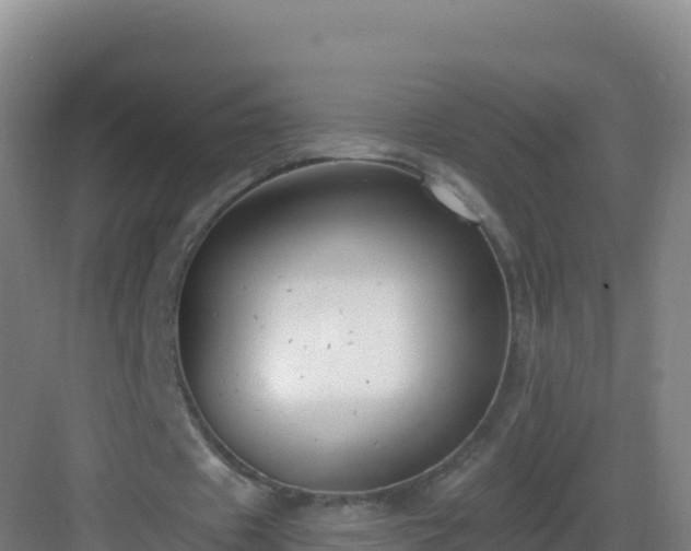 X0000083040433200702091413