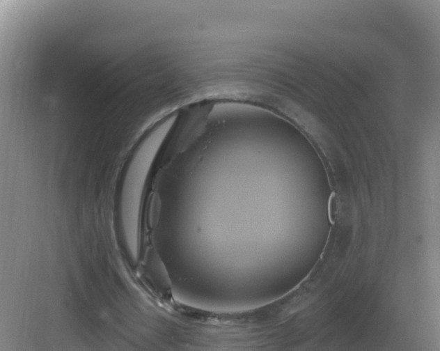 X0000083040434200702091413