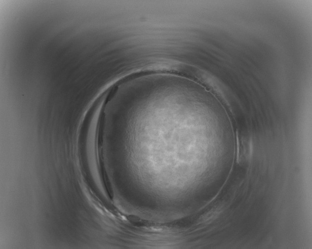 X0000083040435200702091413