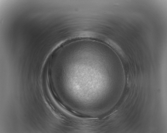 X0000083040436200702091413