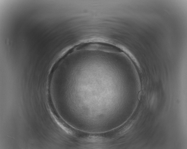 X0000083040437200702091413