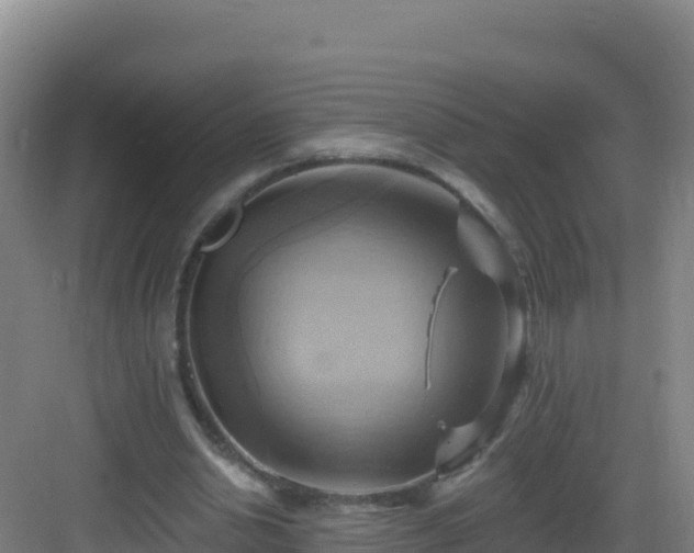 X0000083040438200702091413