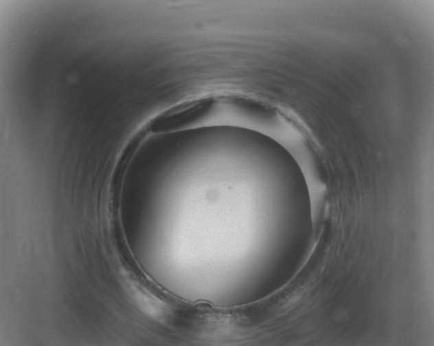 X0000083040439200702091413