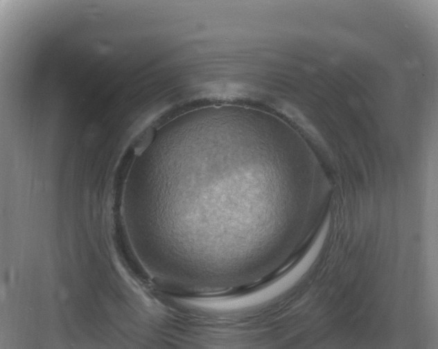 X0000083040440200702091413