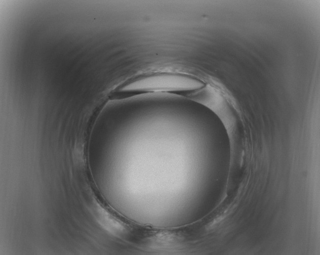 X0000083040441200702091413