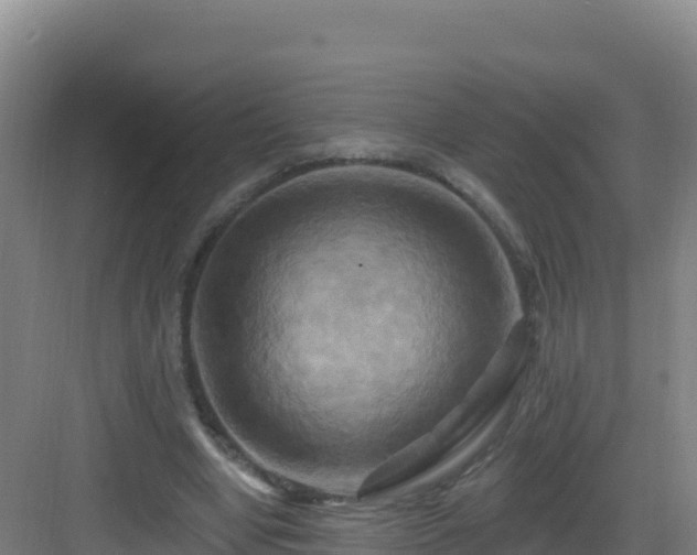 X0000083040442200702091413