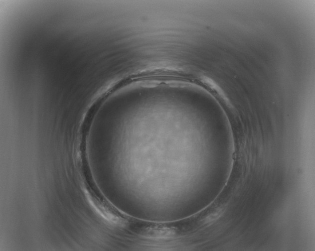 X0000083040443200702091413