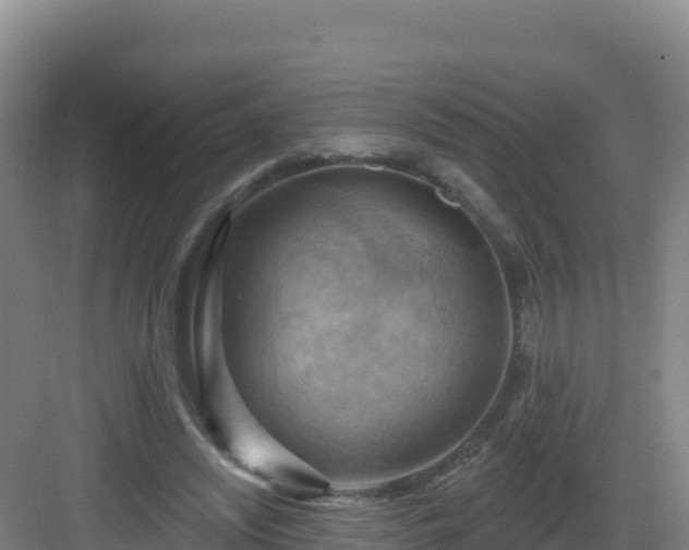 X0000083040444200702091413